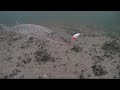 Video Thumbnail for Why I’ll Never Use Livescope Watching These Ice Fishing Strikes
