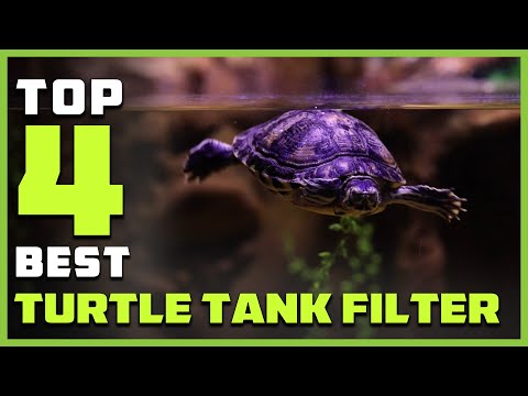 Top 4 Best Turtle Tank Filter for Freshwater and Saltwater Aquariums Review in 2026