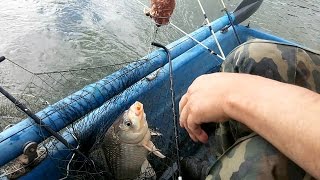 Ловля гибрида в ростове на дону