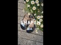05 24 DAISY A CALLA Mp4