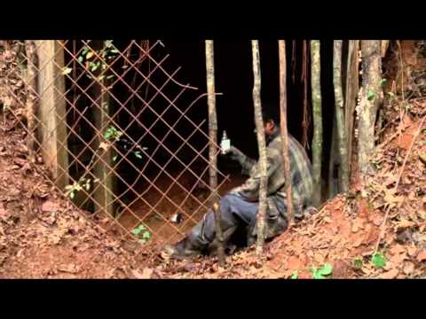 The Walking Dead: Blackbird's Song - Lee DeWyze