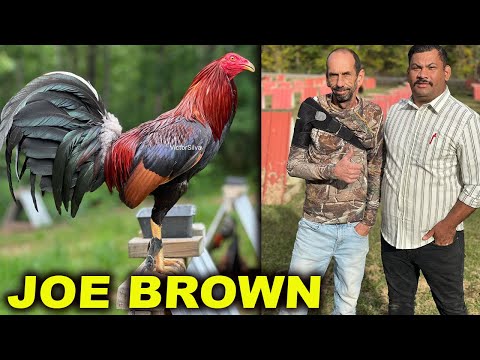 TOUR !! Joe Brown Farm Tennessee Victor Silva