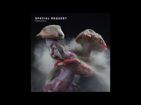 Fabriclive 91 - Special Request (2017) Full Mix Album