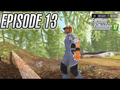 [Episode 13] Goldcrest Valley