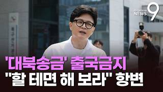 종합특검, 한동훈 출국금지…韓 "정치 특검의 쇼" [뉴스9]