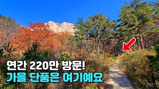 🍁 연간 220만명이 방문하는 올가을 단풍 ‘베스트 뷰’ 코스 | 🚇 대중교통 당일치기 국내 여행 | 트레킹 코스