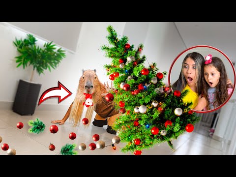 The capybara destroyed Larissa's Christmas tree!!