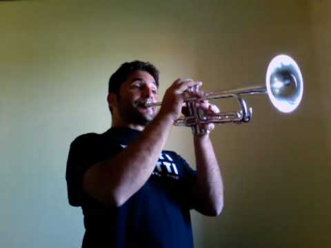 Mirko Rinaldi Frate trumpet mouthpiece Yamaha 8310z