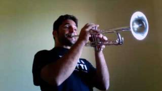 Mirko Rinaldi Frate trumpet mouthpiece Yamaha 8310z