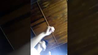 Download lagu video Dj Happy mp3 O.T innova palembang mp3 Download lagu video Dj Happy mp3 O.T innova palembang mp3