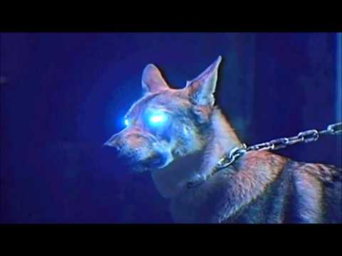 Eremka (WTL) - Biorę gram