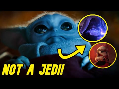 This person finds GROGU during Order 66…