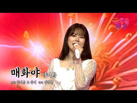 [클린버전] 메가 히트 예감! 지은이 물 제대로 올랐어요 🥰❣️양지은 - 매화야 ❣️트롯 올스타전 금요일밤에 TV CHOSUN 251212 방송