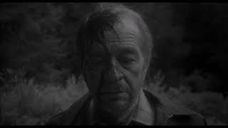 neroche &amp; jimmy scott - sycamore trees