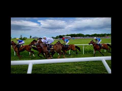 Annual Horse race at Gärdet, Stockholm on National day 6th of June.In slowmotion.