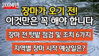 장마가 오기 전! 이것만은 꼭 해야 합니다. 장마 전 텃밭 점검 및 조치 6가지. 지역별 장마 시작 예상일은…