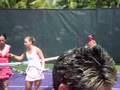 Dominika Cibulkova 2008 Miami