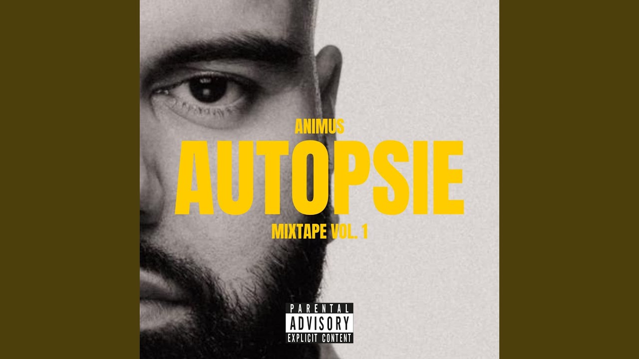 ANIMUS - Eierkartons