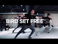 Bird Set Free - Sia / Junho Lee Choreography
