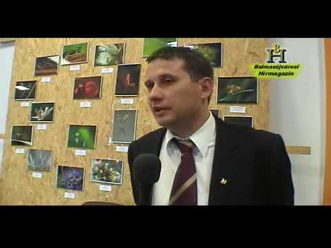 Érmihályfalva testvérvárosi kapcsolat (3. rész)