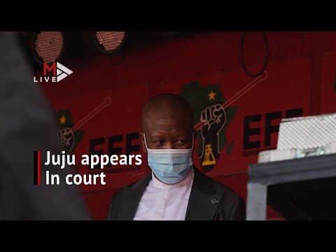 Huge EFF support for Malema, Ndlozi at assault appearance
