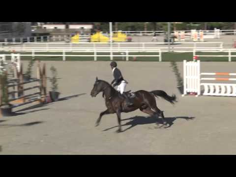 DON PERIGNON BY WISBECQ - Gaetan Decroix - JO - 5.Years.1.20m - Oliva (6.11.2014)