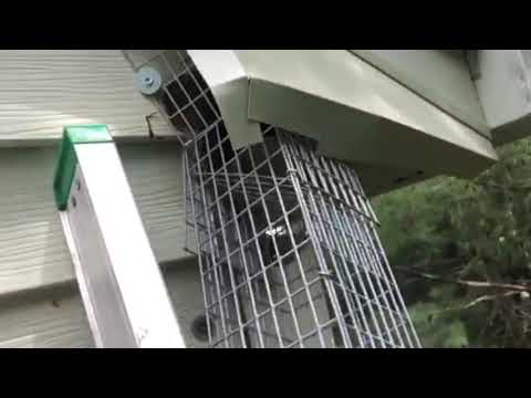 Missing Piece of Wood Allows Squirrels to Enter Home in Woodbridge, NJ