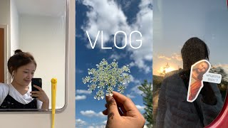 🇺🇸9月アメリカ留学VLOG