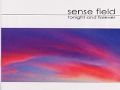 SENSE FIELD - No Longer Now