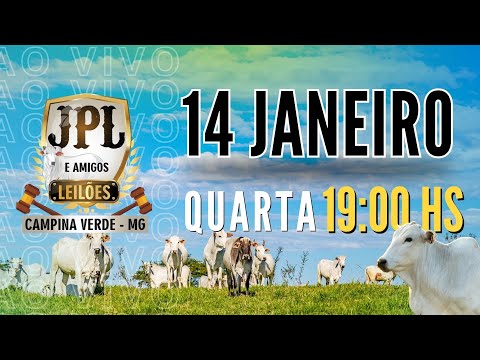 JPL e Amigos Leilões  Campina Verde MG - 14 de  Janeiro 2026