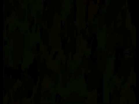 Void Kampf @ Sigsaly Transmissions Media