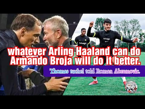 Armando Broja | excellent | I need Broja not haaland ~Thomas tuchel.