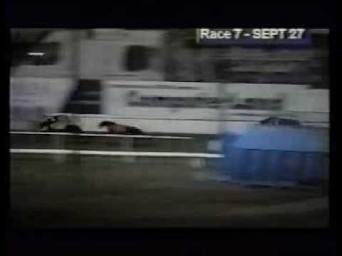 Spiral Nikita semi final Irish Derby 1997