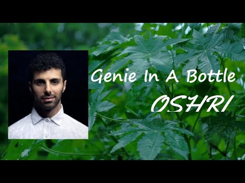 OSHRI - Genie In A Bottle lyrics