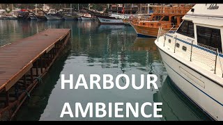 Download lagu Suara Pelabuhan Yang Tenang untuk Relaksasi, Tidur, dan Meditasi mp3 Download lagu Suara Pelabuhan Yang Tenang untuk Relaksasi, Tidur, dan Meditasi mp3