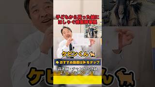 子どもから貰った絵にはしゃぐ榛葉幹事長 #国民民主党 #玉木雄一郎 #榛葉幹事長  #国民民主党を野党第一党に #榛葉賀津也　#shorts