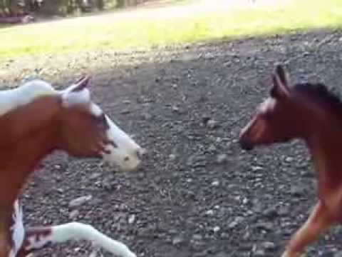 Darkness Falls- A new breyer movie- Introduction