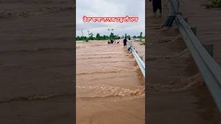 ਡੇਰਾ ਬਾਬਾ ਨਾਨਕ ਹੜ੍ਹ 🙏🏻 #raavi #satluj #beasriver #news #shorts #trending #punjabnews #punjabisong