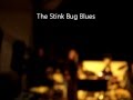 Readington Blues Jam Stink Bug Blues