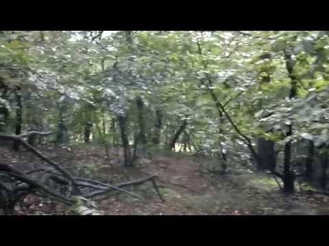 In Korea ( Seongnam )