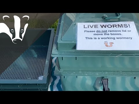 #EssexWildlifeTV - Wonderful Wormery