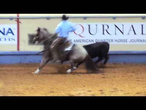 AQHA World Show 2015