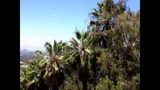 preview picture of video 'View of the Westside from the Beverly Hills Post Office area today.'