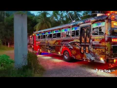 new kubiyo bus dj | new bus video| pro line | kubiyo bus dj