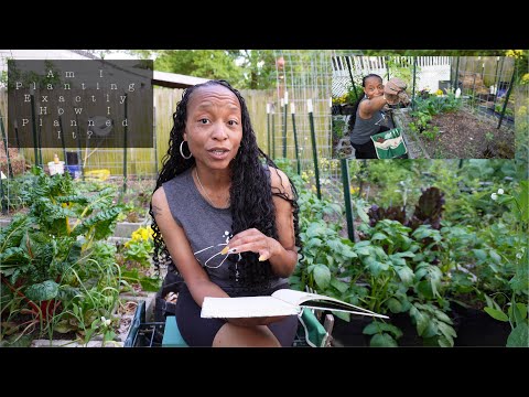 An Easy Sunday Evening In The Garden | First Summer Plants Are In | Urban Garden Planting