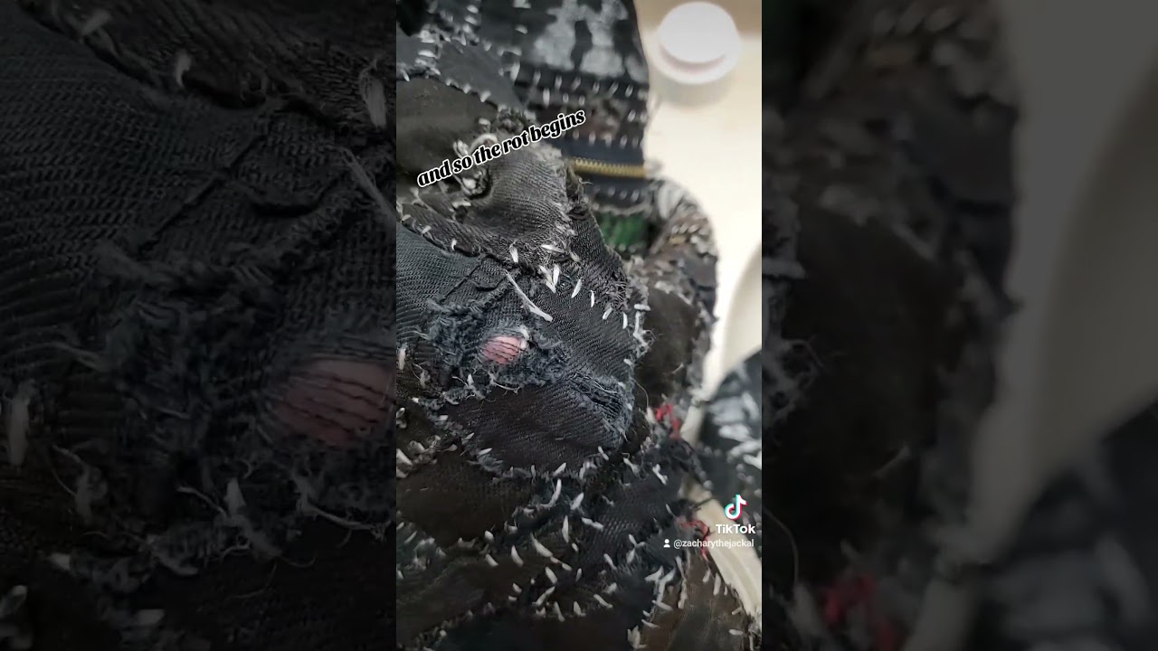 and so the rot begins #crustpunk #crusty #punk