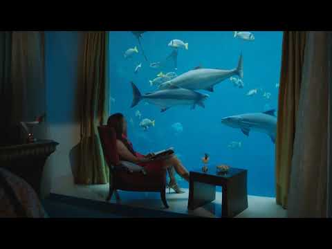 Chillout 2019 : Seven24 & Delaitech - Your Love (Original Mix)