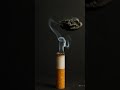 Stop Smoking They Said Cancer Stop Sora
