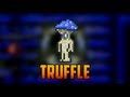 Terraria - Truffle & my Mushroom Biome 