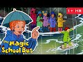 Swamps Cells And Molecules Full Episodes The Magic School Bus Scholastic Classic